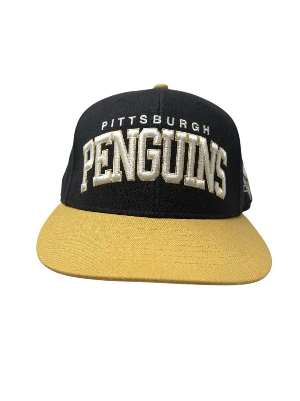 Pittsburgh Penguins Twins Enterprise Spell Out Snapback Hat Cap NHL Hockey Logo